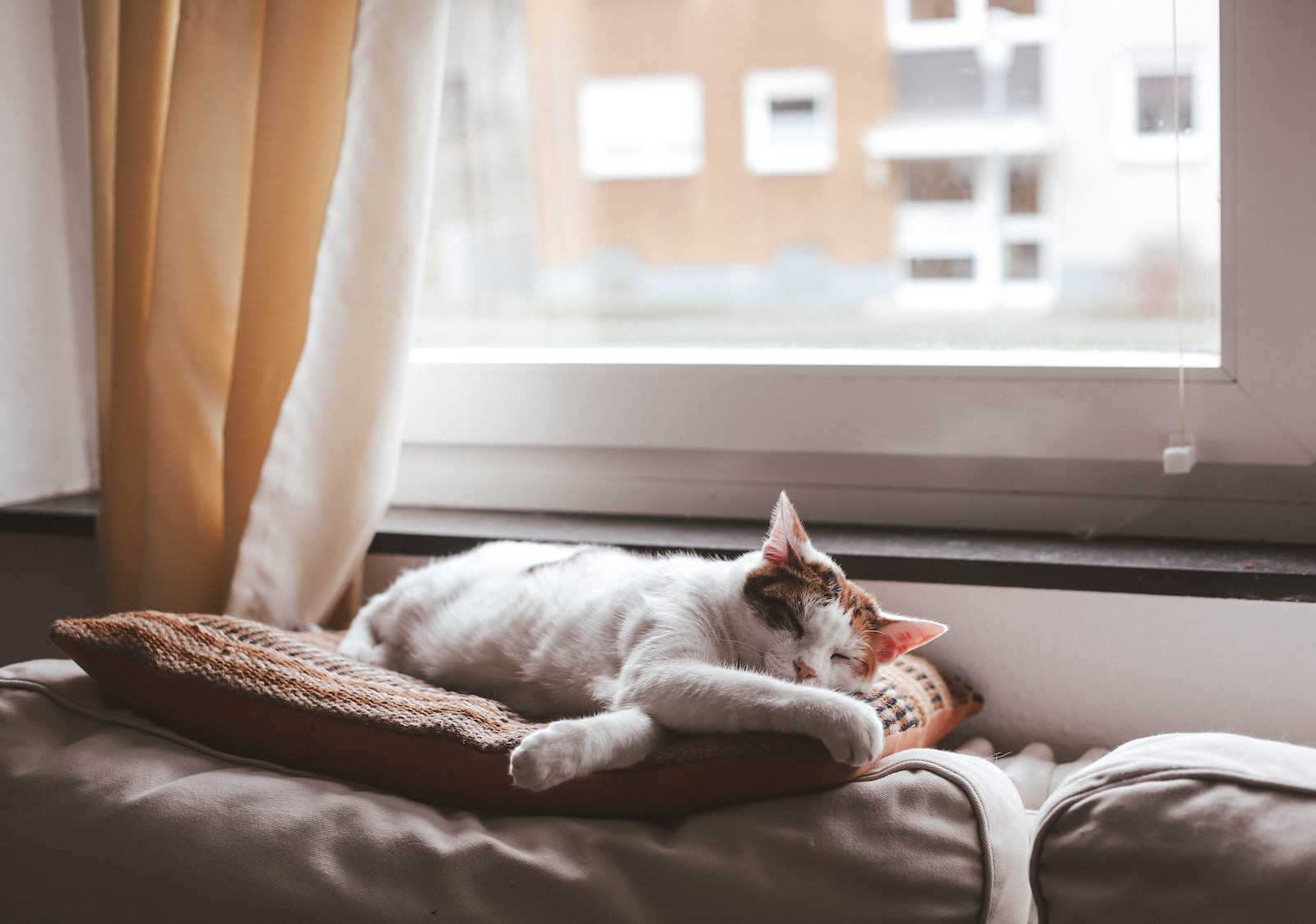 Why It’s Not Useful to Name Somebody—Together with Ourselves—“Lazy”