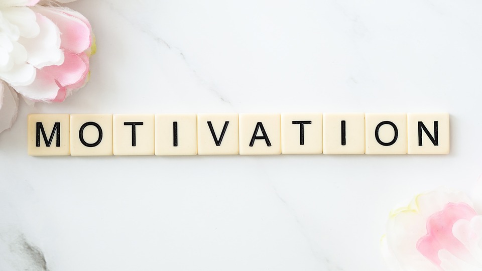 stay motivated