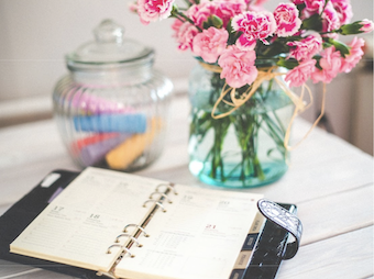 Spring into studying