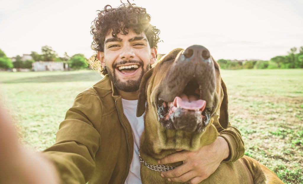 55 Humorous and Cute Canine Memes