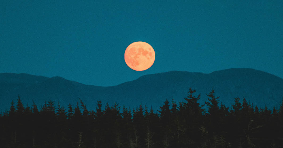 De volle maan van 24 februari 2024 helpt je orde aan te brengen