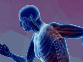 Embodied Cognition 2024 – Thoughts in Movement