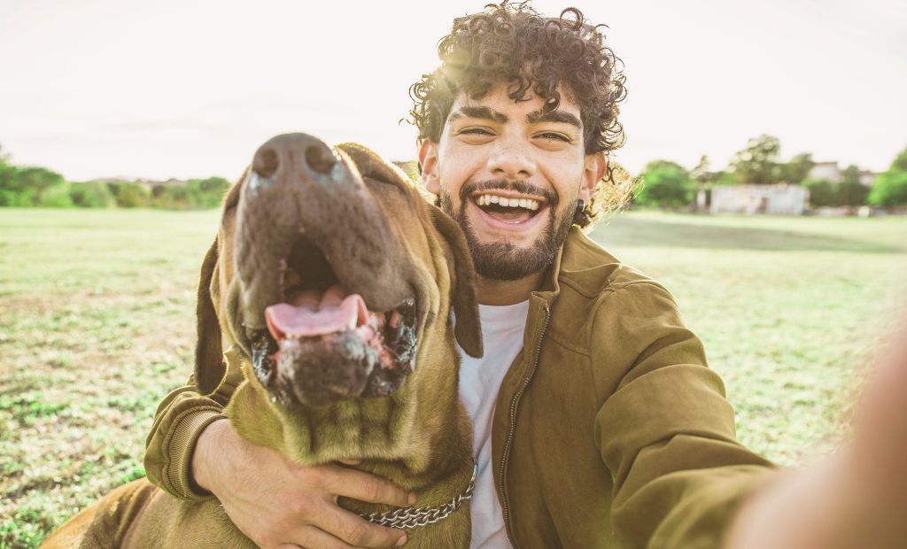How 12 Canines Reworked a Nature Protect (in Simply 5 Months)