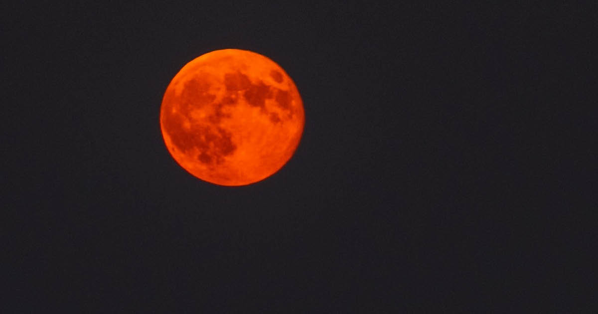 Volle maan augustus 2024 in Waterman: dit merk je