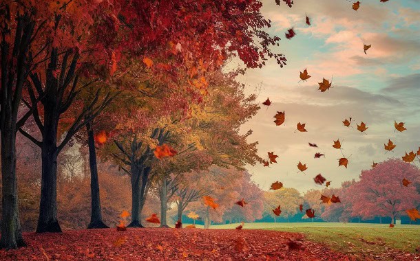 The Prime 27 Autumn Quotes for a Motivated and Optimistic Season