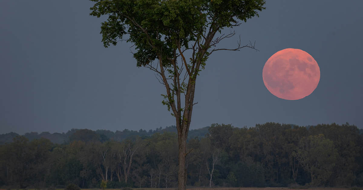 De volle maan van 17 oktober 2024 kan aardig pittig worden