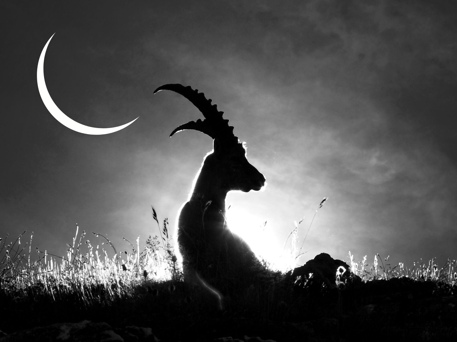 Intuitive Astrology: Capricorn Black Moon December 2024