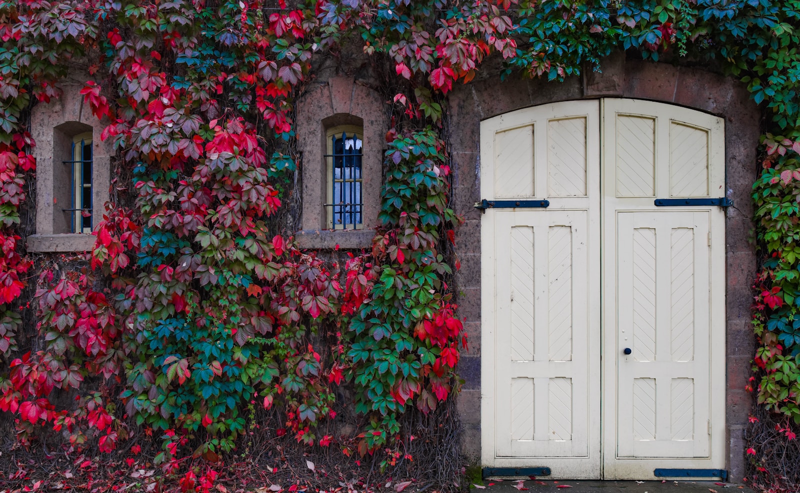 rule of thirds photo of white door