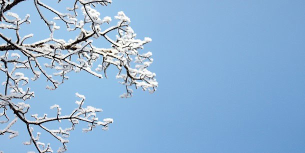 100 Quick February Captions for a Optimistic, Comfortable and Motivated Month