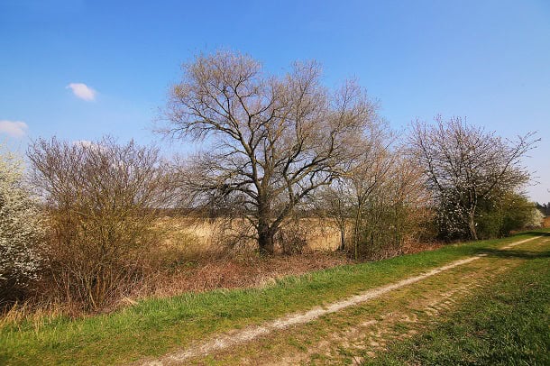 90 March Quotes for an Inspirational, Motivational and Constructive Begin of Spring