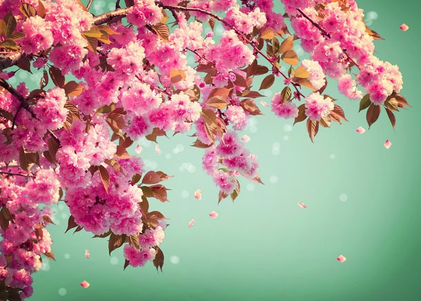 101 Quick Spring Quotes for Your Letter Board to Welcome This Blissful Season