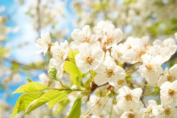 90 Inspirational April Quotes for a Completely satisfied, Constructive and Motivated Spring Month