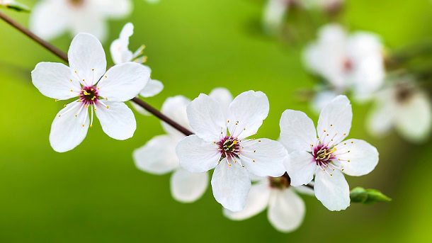 75 Quick Might Quotes for Your Letter Board to Welcome This Spring Month