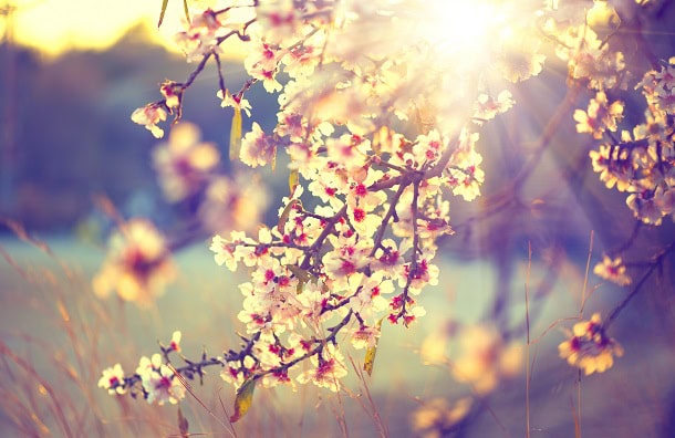 85 Brief April Quotes and Sayings to Welcome a Joyful and Lovely Spring Month