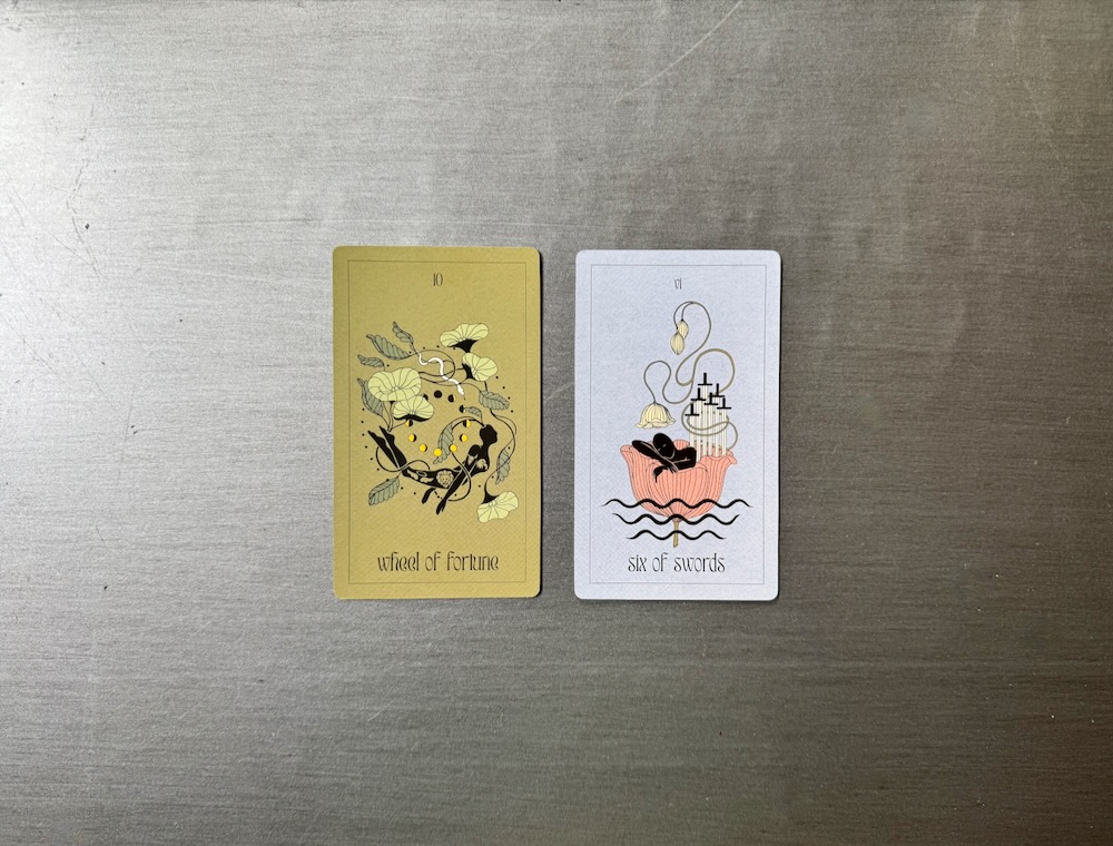 Nikki’S Weekly Tarot Studying: March 31-April 6, 2025