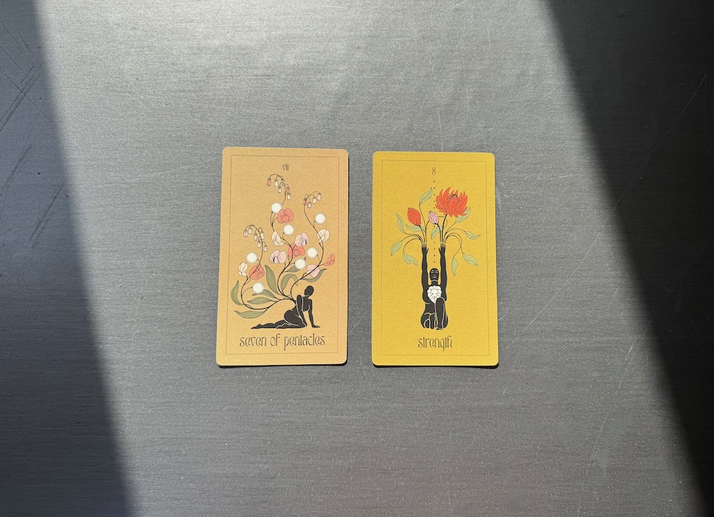 Nikki’s Weekly Tarot Studying: April 28-Could 4, 2025