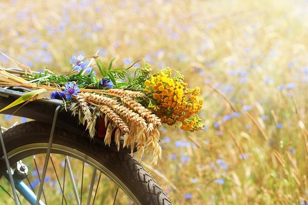 Constructive, Lovely and Humorous Sayings to Welcome This Summer time Month
