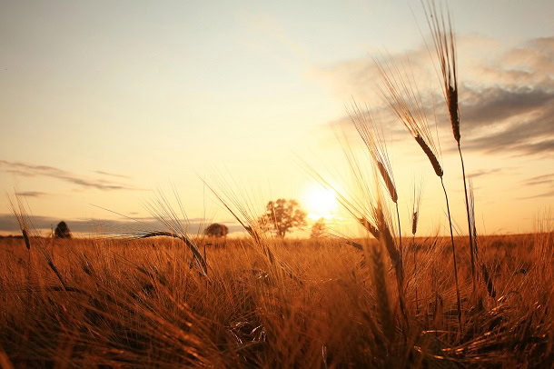 Humorous, Constructive and Lovely Sayings for The Final Days of Summer season