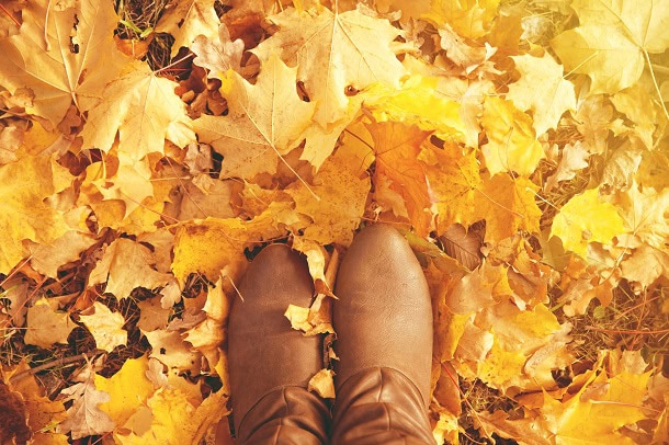 101 Quick Fall Quotes for a Constructive, Motivated and Comfortable Autumn Season