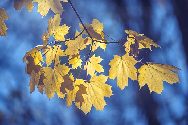 Inspirational, Humorous and Constructive Sayings