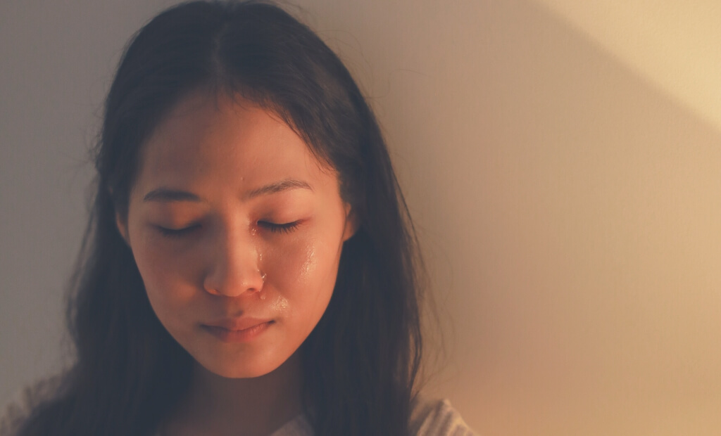 My Pet Died & I Cannot Cease Crying: 12 Steps to Cope